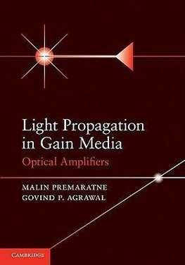 Light Propagation in Gain Media