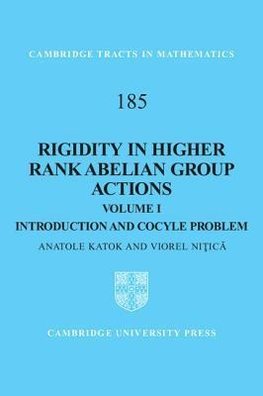 Rigidity in Higher Rank Abelian Group Actions