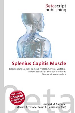 Splenius Capitis Muscle