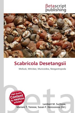 Scabricola Desetangsii