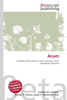 Arum