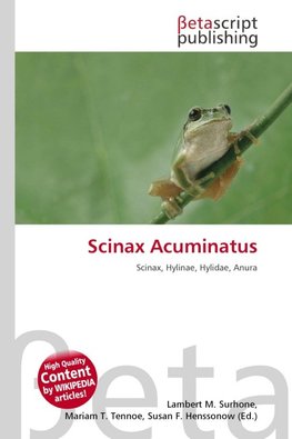 Scinax Acuminatus