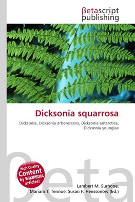 Dicksonia squarrosa