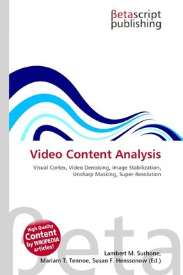 Video Content Analysis