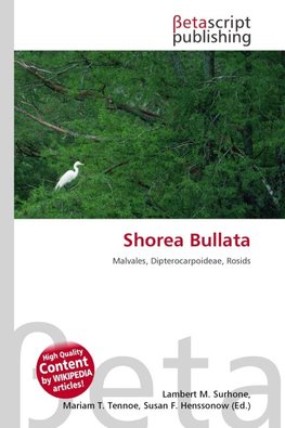 Shorea Bullata
