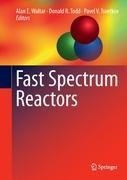 Fast Spectrum Reactors