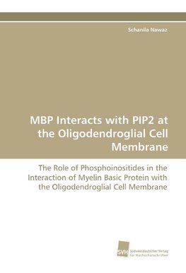 MBP Interacts with PIP2 at the Oligodendroglial Cell Membrane