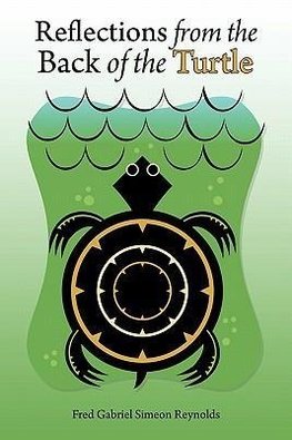 Reflections from the Back of the Turtle