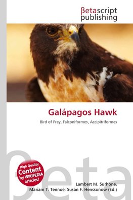 Galápagos Hawk