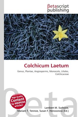 Colchicum Laetum