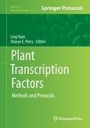 Plant Transcription Factors