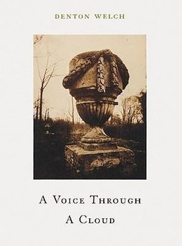 A Voice through a Cloud