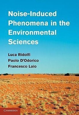 Noise-Induced Phenomena in the Environmental Sciences