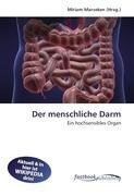 Der menschliche Darm