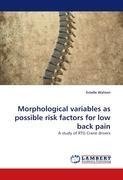 Morphological variables as possible risk factors for low back pain