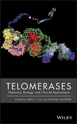 Lue, N: Telomerases