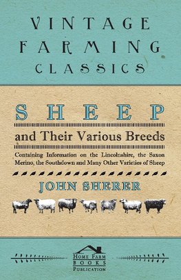 Sheep and Their Various Breeds - Containing Information on the Lincolnshire, the Saxon Merino, the Southdown and Many Other Varieties of Sheep