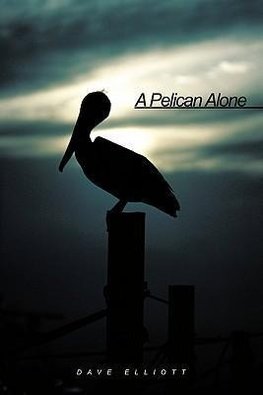A Pelican Alone