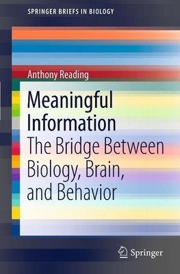 Meaningful Information
