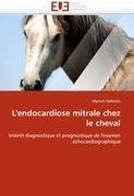 L''endocardiose mitrale chez le cheval
