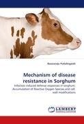 Mechanism of disease resistance in Sorghum