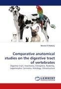 Comparative anatomical studies on the digestive tract of vertebrates