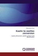 Kaolin to zeolites conversion