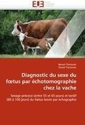 Diagnostic du sexe du foetus par échotomographie chez la vache
