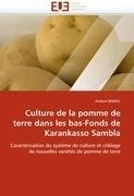 Culture de la pomme de terre dans les bas-Fonds de Karankasso Sambla