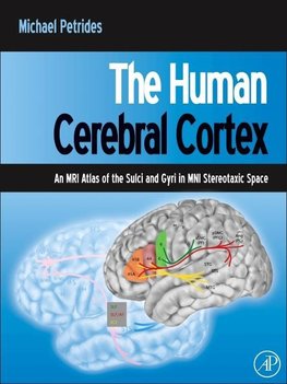 Petrides, M: Human Cerebral Cortex