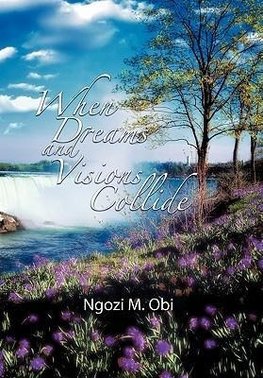 When Dreams and Visions Collide