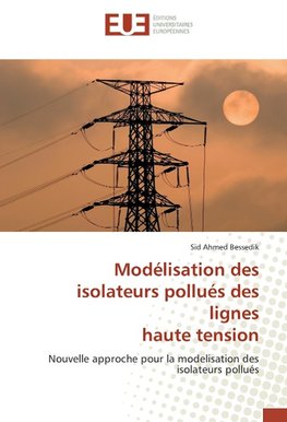 Modélisation des isolateurs pollués des lignes haute tension
