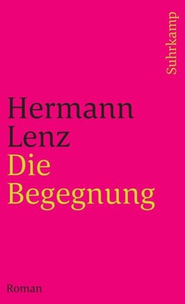 Die Begegnung