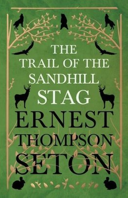 The Trail Of The Sandhill Stag