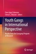 Youth Gangs in International Perspective