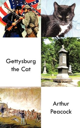 Gettysburg the Cat