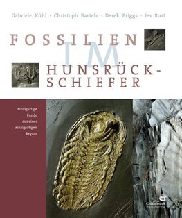 Fossilien im Hunsrück Schiefer