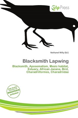 Blacksmith Lapwing