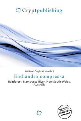 Endiandra compressa