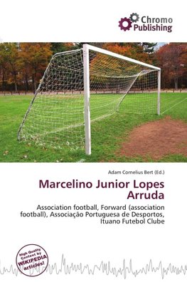 Marcelino Junior Lopes Arruda