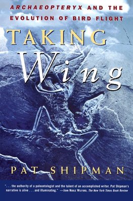 Taking Wing