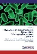 Dynamics of branched actin filaments in Schizosaccharomyces pombe