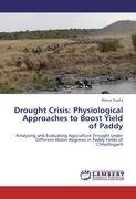Drought Crisis: Physiological Approaches to Boost Yield of Paddy