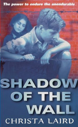 Shadow Of The Wall