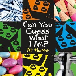 The Enchantress of Florence