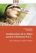 Amélioration de la filière canard à Kinshasa R.D.C..