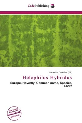 Helophilus Hybridus