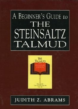 Beginner's Guide to the Steinsaltz Talmud