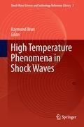 High Temperature Phenomena in Shock Waves