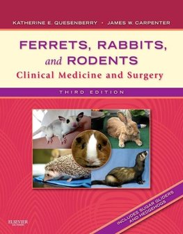 Ferrets, Rabbits, and Rodents